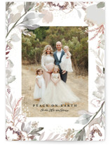 Muted Wonderland Christmas Photo Cards