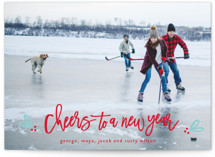 Berries of fun Christmas Photo Cards