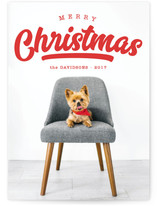 Curve Christmas Photo Cards