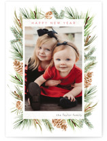 Winter Frame Christmas Photo Cards