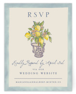 Amalfi Coast Wedding RSVP Online Enclosure Cards