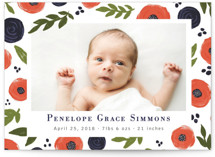 Poppies Birth Announcements