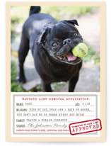 North Pole Form 1225B by cambria