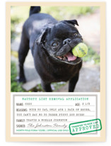 North Pole Form 1225B Holiday Photo Cards