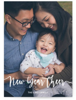 Fun for everyone Holiday Photo Cards