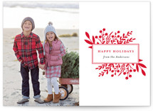 Branches and Berries Holiday Photo Cards