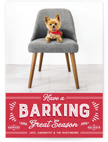 barking great season Holiday Photo Cards