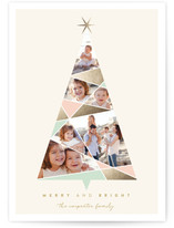 Complete Geo Tree Holiday Photo Cards