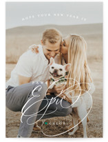 pawsitively blessed Holiday Photo Cards