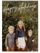 Photo Album Holiday Photo Cards