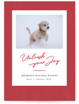Unleash Holiday Photo Cards