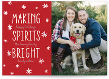 Bright Snowflake Spirits Holiday Photo Cards