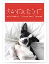 Santa Did It Holiday Photo Cards