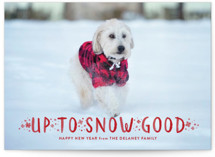 Snow Good Holiday Photo Cards