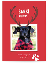 Reindeer Ears Holiday Photo Cards