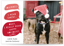 Doggy Greetings Holiday Photo Cards