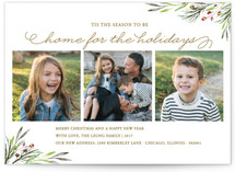 Winterberry. Holiday Photo Cards
