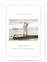 Save the Date Petite Cards