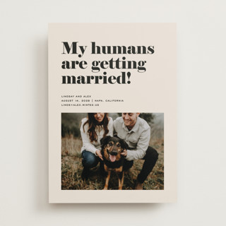 Must Love Dogs Save The Date Cards