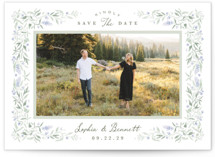 Delicate Vines by Kristen Smith