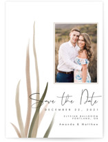 Streams Save The Date Cards