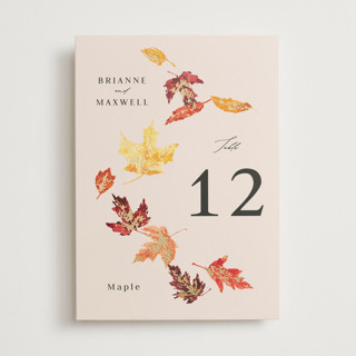 Autumn Leafs Foil-Pressed Table Numbers