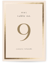 Framed Photo Foil-Pressed Table Numbers