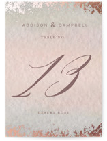 Mood Foil-Pressed Table Numbers