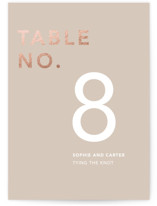 Bolden Foil-Pressed Table Numbers