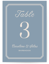 Bevel Monogram Table Numbers