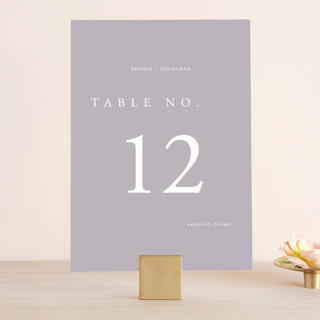 The Minimalist Table Numbers