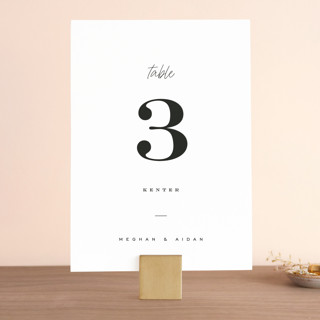 Mod Classic Table Numbers