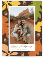 Bold Colors Thanksgiving Cards