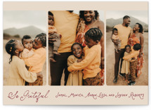 Thanksgiving Trio Thanksgiving Cards