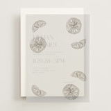 Vellum Overlays