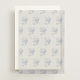 Vellum Overlays