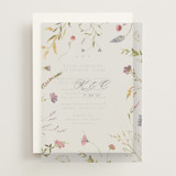Vellum Overlays