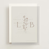 Vellum Overlays