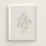 Vellum Overlays