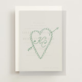 Vellum Overlays