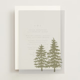 Vellum Overlays
