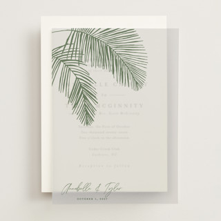 Palm Arbor Vellum Overlays