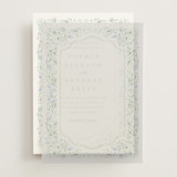Delicate Vines Vellum Overlays
