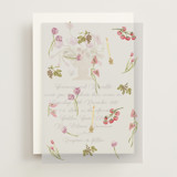 Barolo Vellum Overlays