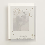 Soleil Vellum Overlays