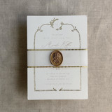 Aurelia dot gold trim vellum belly band for 5x7 card | pack of 10 Belly Bands