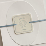 Customizable Hand Drawn Seashell Bellyband Tags with Ribbon for 5 x 7 Invitation | Pack of 25 Belly Bands
