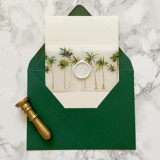 Palm Tree Vellum Belly Band for Beach Wedding Invitations (25 Pack) Belly Bands