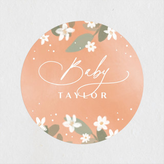 A little cutie Baby Shower Stickers