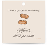 Disney's Dumbo Circus Baby Shower Favor Tags